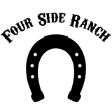 logo 4sr